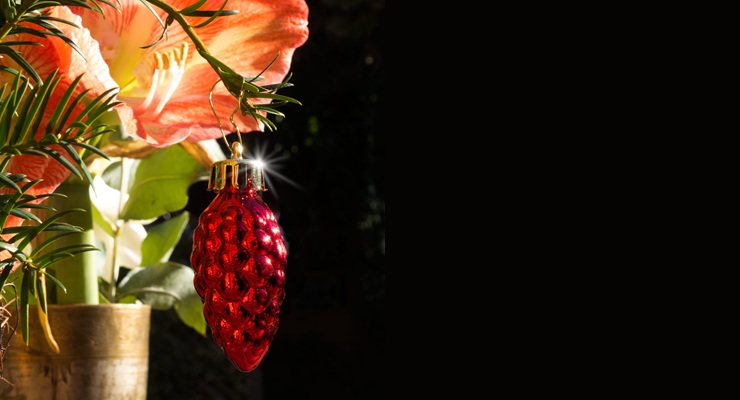 CONFÉRENCE DU CLUB HORTICOLE - DÉCORATIONS DES FÊTES